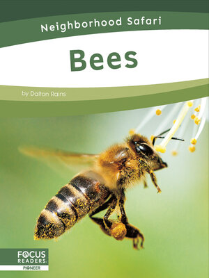 cover image of Bees